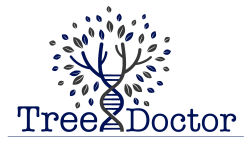 Tree Doctor Tree Surgeons | Tree Felling & Pruning | Stump & Tree Removal